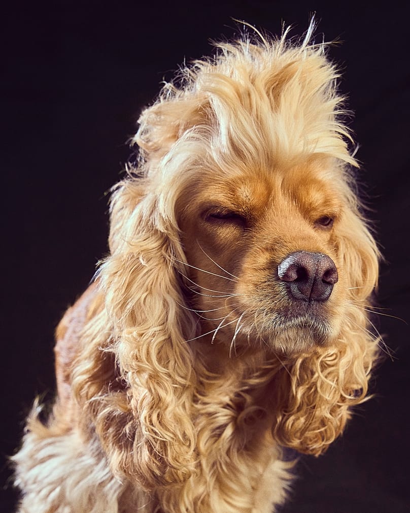 'Göz Göze' sergisi.