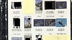 Fotografías entre los documentos publicados del caso Epstein