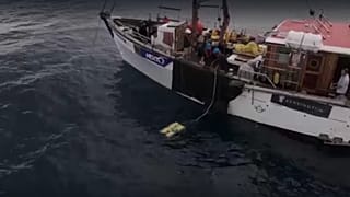 Comores : à la recherche du cœlacanthe, emblème national 