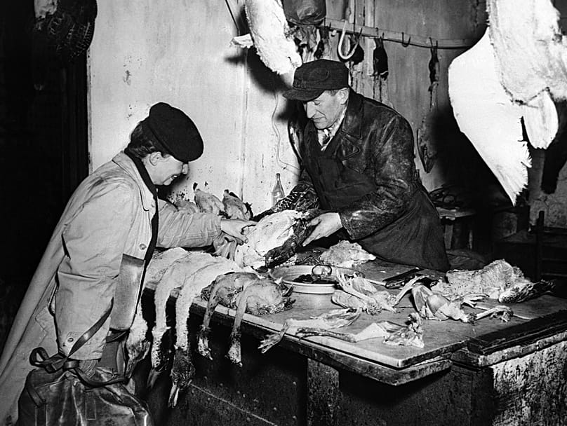 Nesta fotografia, Marczewska, cujo marido é professor de arquitetura na Universidade de Varsóvia, seleciona aves para uma refeição em família, a 17 de dezembro de 1946