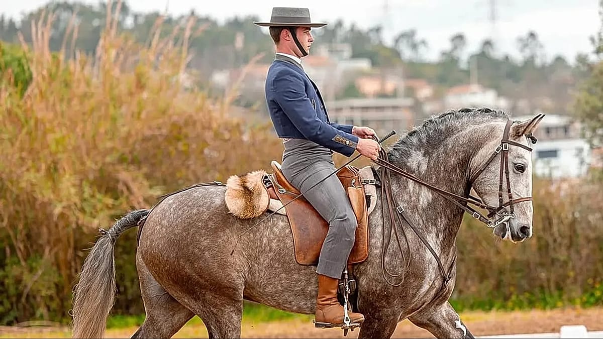Portugal : un moniteur d'équitation, candidat du parti Chega, arrêté pour abus sexuels sur mineurs