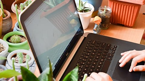 AI features have changed the way some of the most popular websites look and operate. What will they look like in 2026?