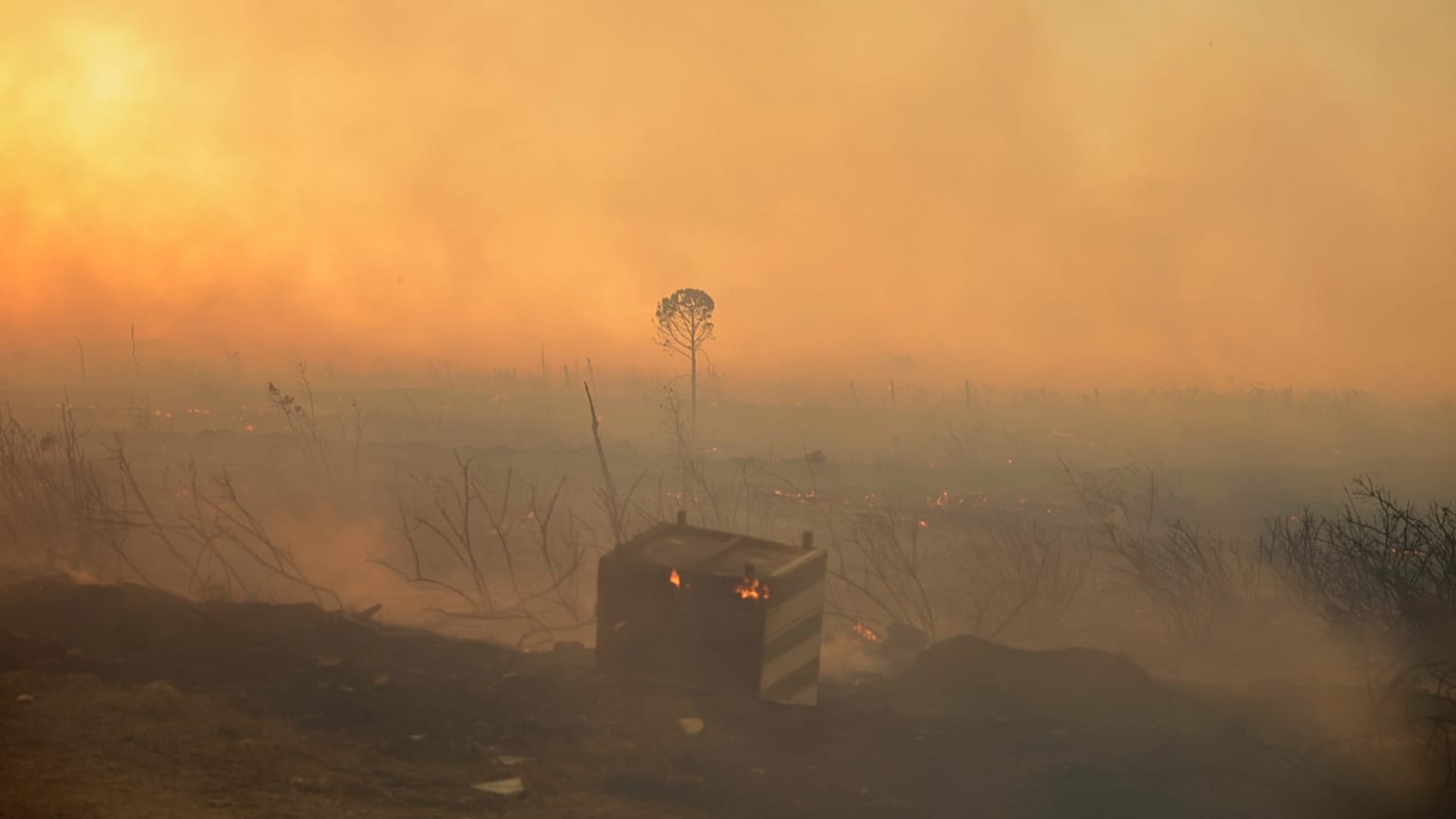 Chamas consomem terreno durante um incêndio florestal, no subúrbio de Kryoneri, no noroeste de Atenas, Grécia, sábado, 26 de julho de 2025