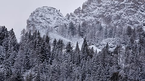 Prato Nevoso, in provincia di Cuneo, ha fatto registrare la neve più abbondante in Europa il 23 dicembre