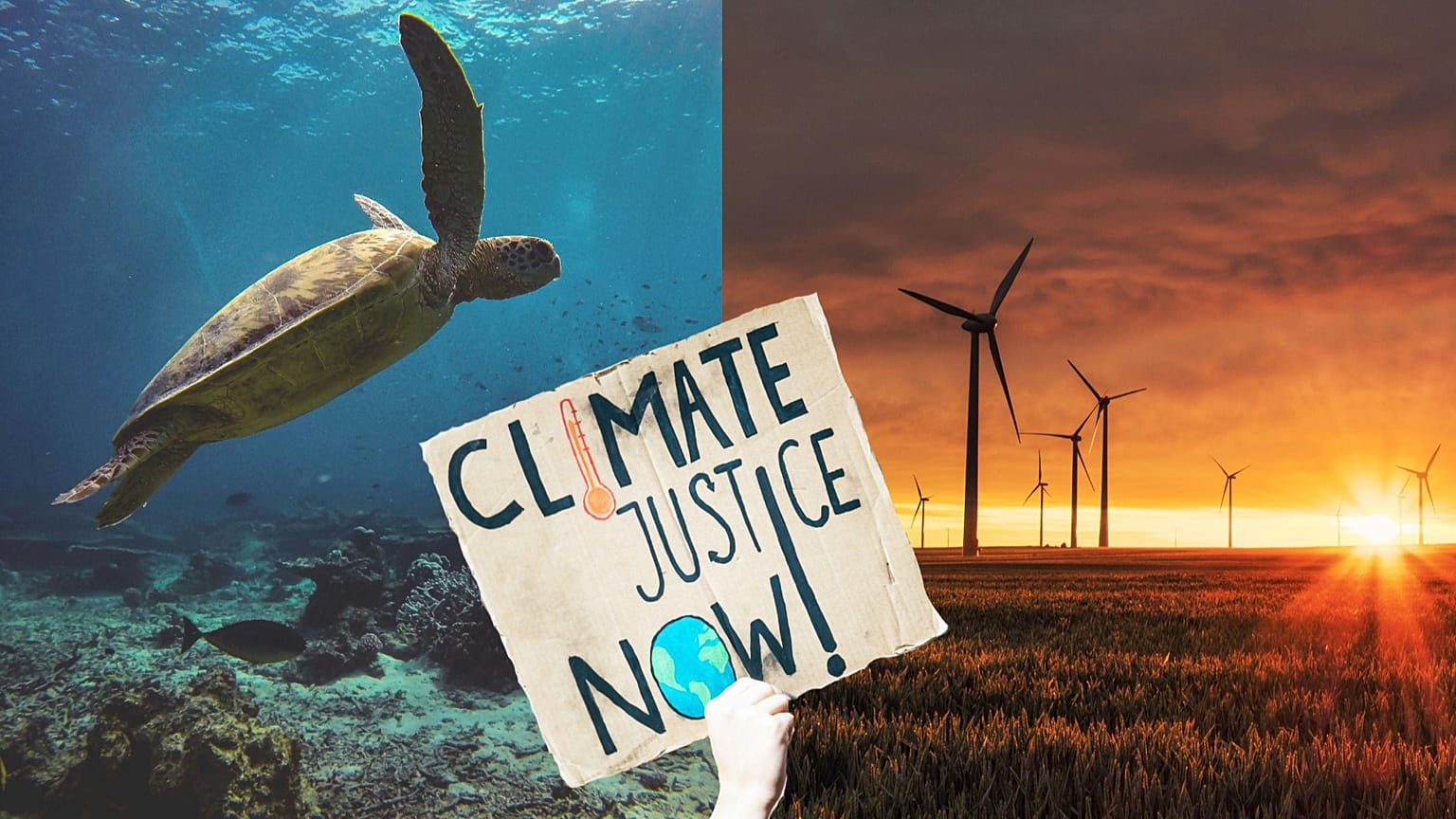 Green sea turtle (left), a sign reading "climate justice now!" and wind turbines on a grass field (right).