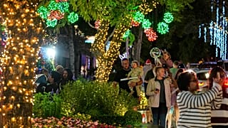 Pretoria's Lawley Street lights up for Christmas