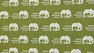 Kenyans protest after roaming elephants kill 4 people in a week