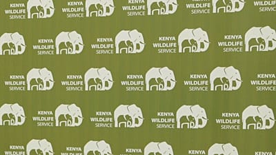 Kenyans protest after roaming elephants kill 4 people in a week
