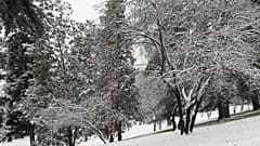 Nevada en España. Archivo