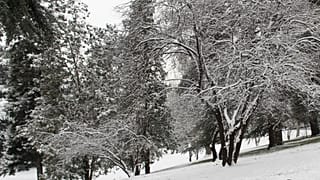 Nevada en España. Archivo