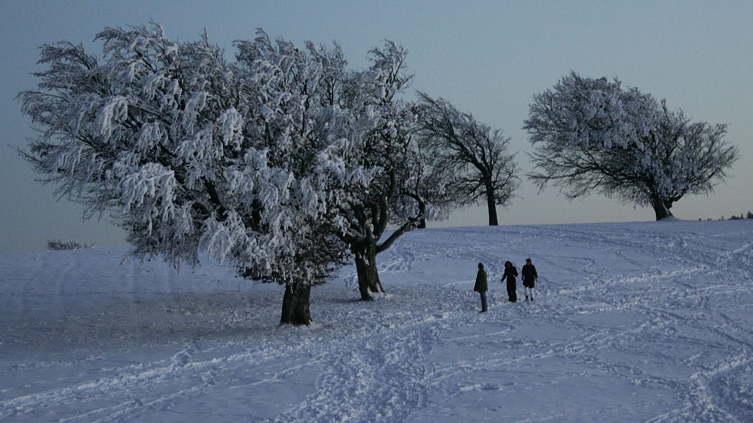 Kommt nun doch noch der Schnee?