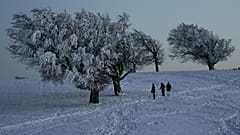 Kommt nun doch noch der Schnee?