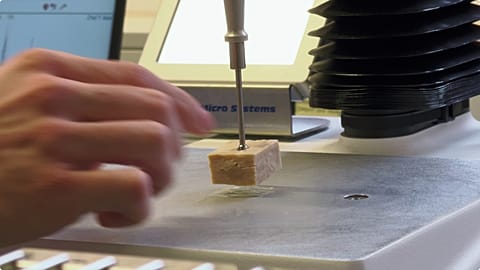 Labor-Proteine für eine hungrige Menschheit – made in Europe