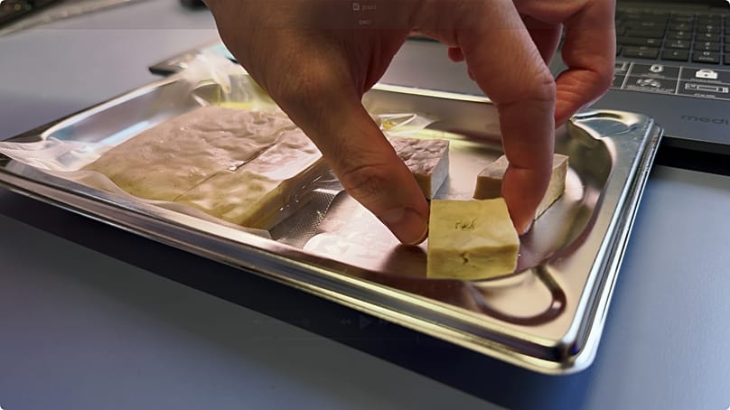 Proteinwürfel vor dem Textur-Test: Auch die Bissfestigkeit muss stimmen. 