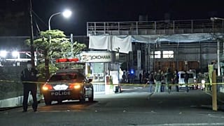 Fifteen people injured on Friday in a knife and liquid spray attack at a rubber factory in central Japan, authorities said.