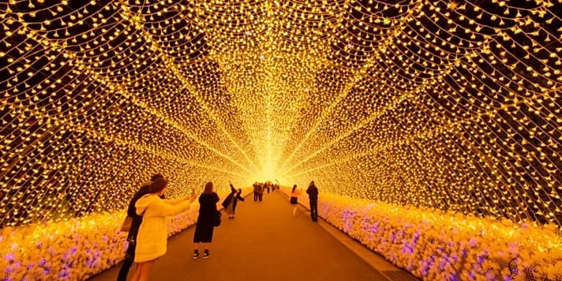 The 200m tunnel of light within the Winter Illuminations is one of the most popular attractions