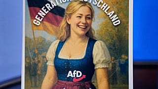 Almanya'da aşırı sağ AfD'nin bir afişi