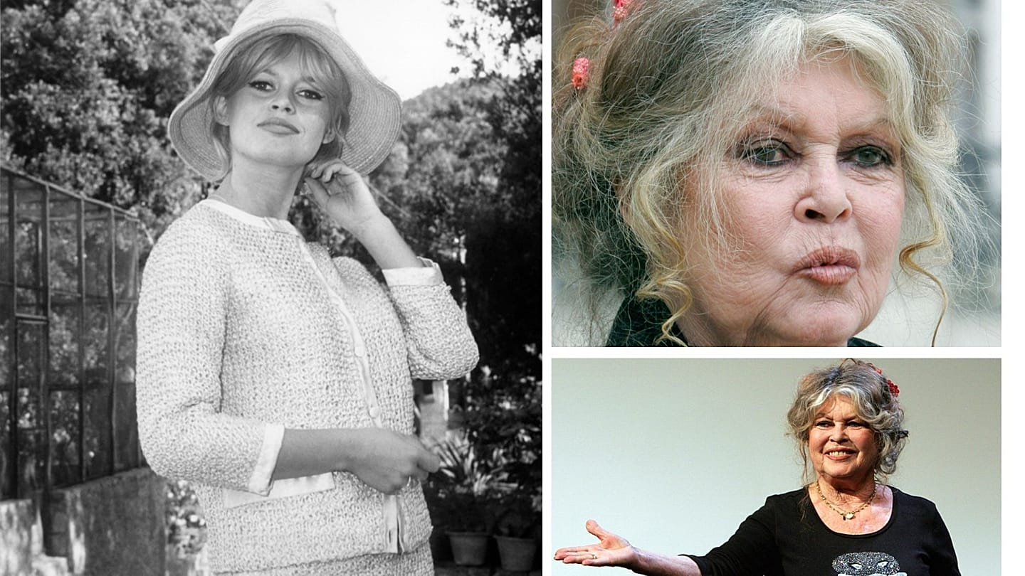 Brigitte Bardot's life in pictures: From 1950s sex symbol to