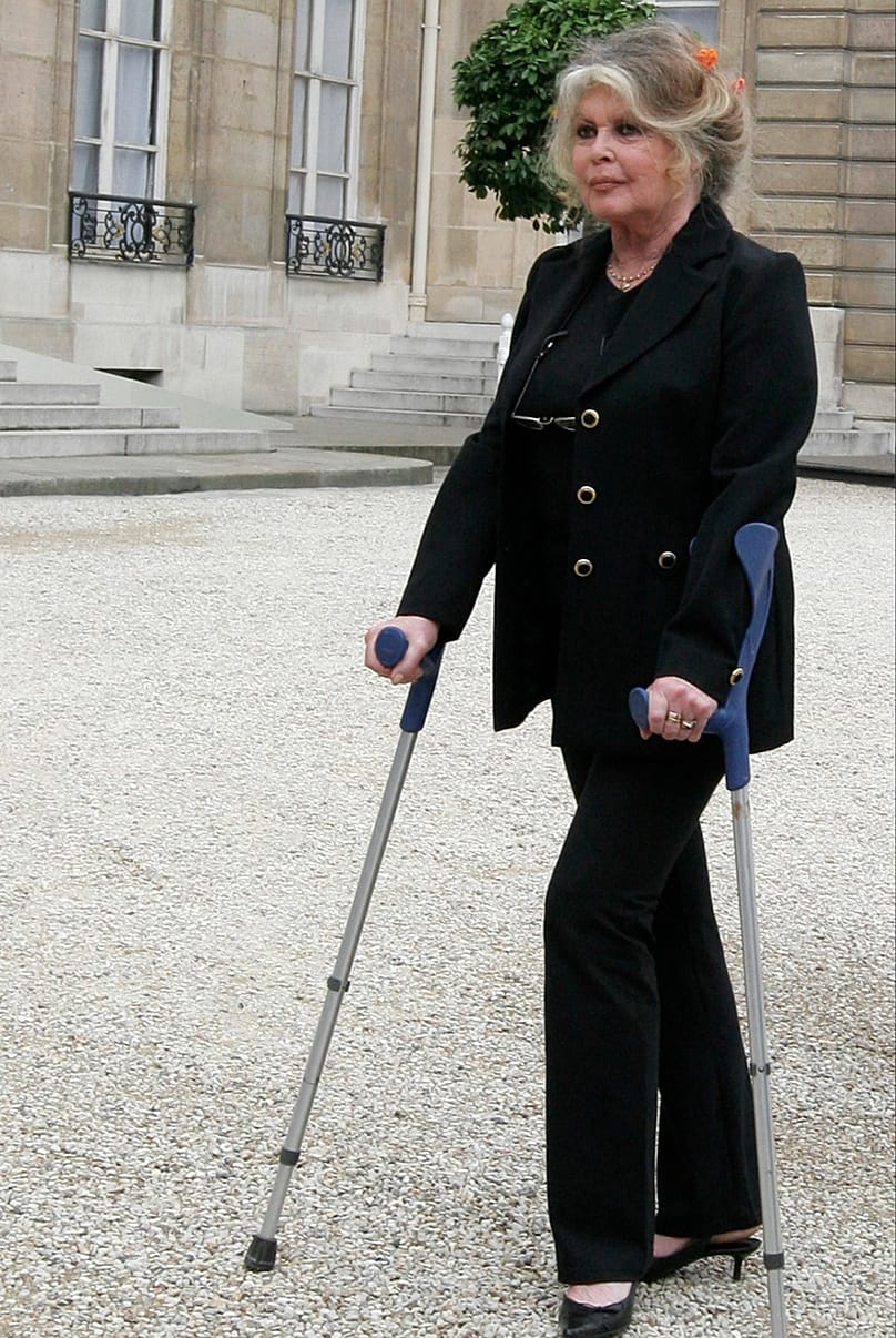 Former actress and animals rights activist Brigitte Bardot after a meeting on the environment with French President Nicolas Sarkozy at the Elysee Palace, Sept. 27, 2007