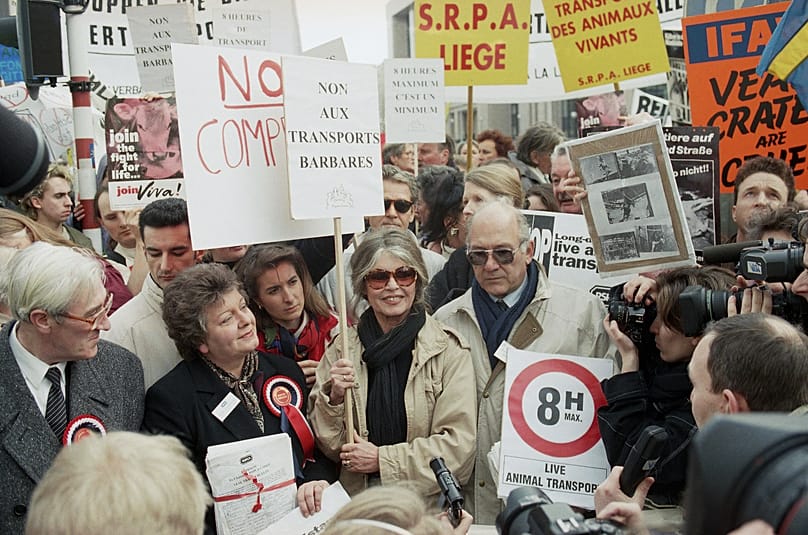 French actress Brigitte Bardot, center is surrounded by animal rights protestors during a demonstration against transporting live animals in Brussels, Monday, Feb. 20, 1995.
