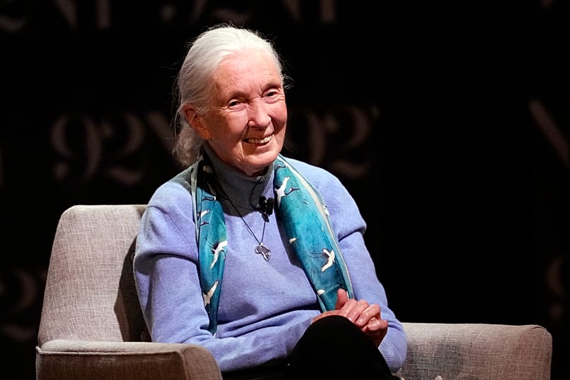 Jane Goodall appears on stage at 92NY on 1 October 2023, in New York.
