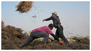 Jeunes africains : quand l'agriculture devient une alternative à l’exode