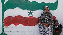 امرأة وطفل يسترخيان بجانب جدارية لعلم صوماليلاند في هرجيسا، صوماليلاند، وهي منطقة منفصلة تتمتع بالحكم شبه الذاتي من الصومال، في 9 فبراير 2022. (صور أسوشيتد برس/ بريان إنغانغا،