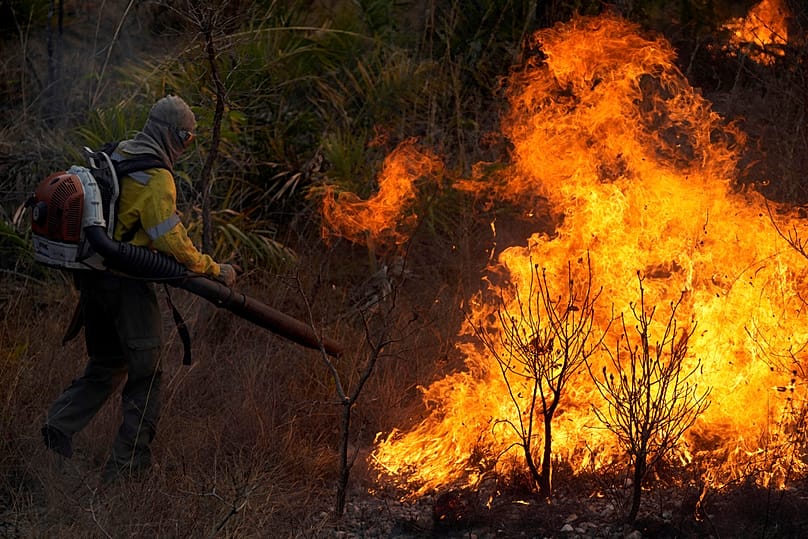 رجل إطفاء في البرازيل يسيطر على حريق غابات قرب منتزه شابادا دوس فياديروس، 3 أكتوبر 2025.