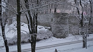 شخص يسير عبر الثلج في تالين، إستونيا، الجمعة 10 يناير 2025.