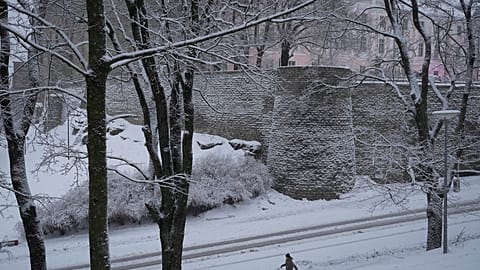 شخص يسير عبر الثلج في تالين، إستونيا، الجمعة 10 يناير 2025.