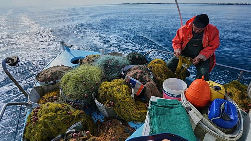 Fisherman Photis Gaitanos collects fish from nets off the coast of Larnaca, Cyprus, in the eastern Mediterranean, early Saturday, Dec. 20, 2025. 
