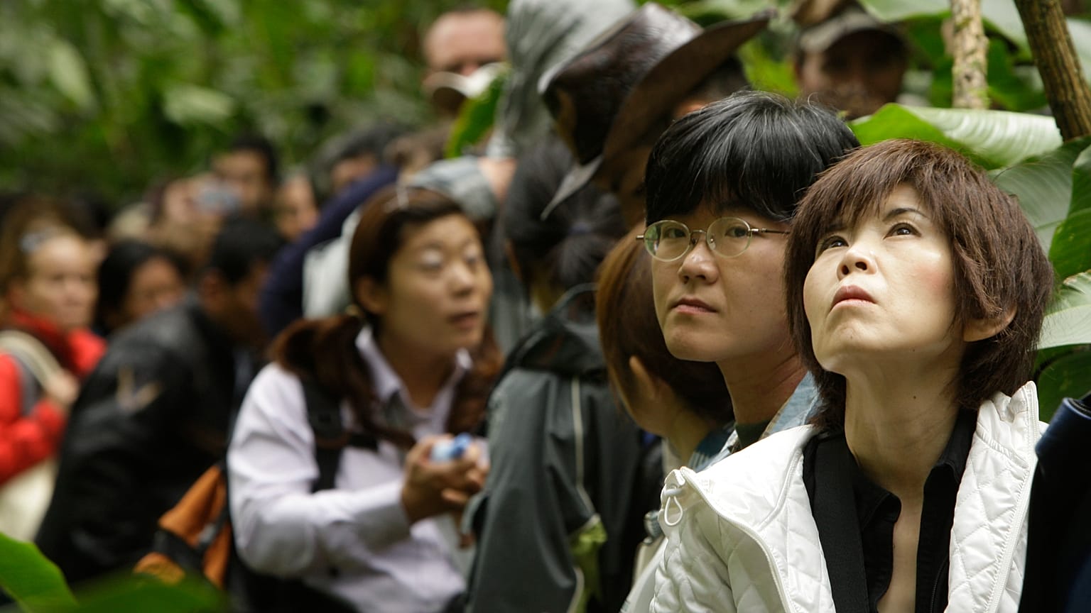 ARCHIVO: Turistas japoneses esperan en fila para ser evacuados de Machu Picchu Pueblo, Perú, en enero de 2010.