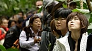 ARCHIVO: Turistas japoneses esperan en fila para ser evacuados de Machu Picchu Pueblo, Perú, en enero de 2010.