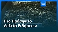 Ειδήσεις | 31 Δεκεμβρίου 2025 - Μεσημβρινό δελτίο