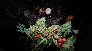 مخلفات الطعام داخل صندوق سماد منزلي يوم الثلاثاء، 29 يوليو 2025، في سينسيناتي.