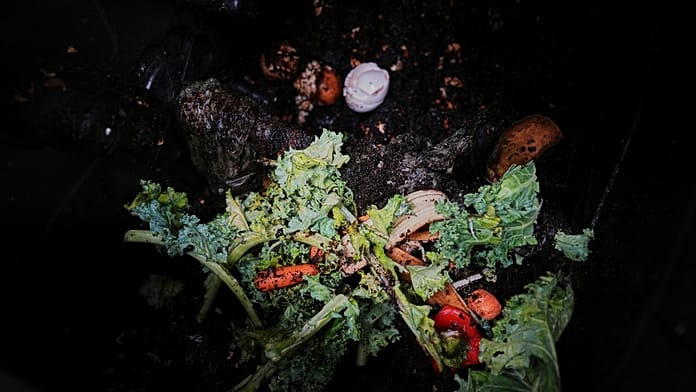 دراسة: مخلفات الطعام يمكن أن تُستَخدم كمورد زراعي وصحي مستدام