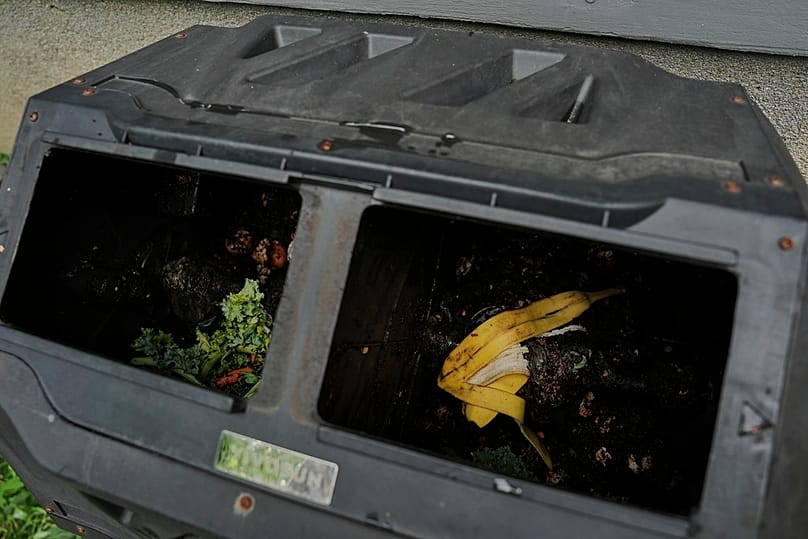 مخلفات الطعام داخل صندوق سماد منزلي يوم الثلاثاء، 29 يوليو 2025، في سينسيناتي