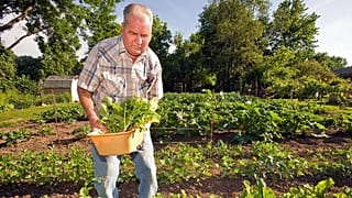  روي هاجرمان، 74 عامًا، من سيداليا، ميزوري، يقطف الفجل الأبيض من حديقته يوم الجمعة 18 مايو/أيار 2012. 