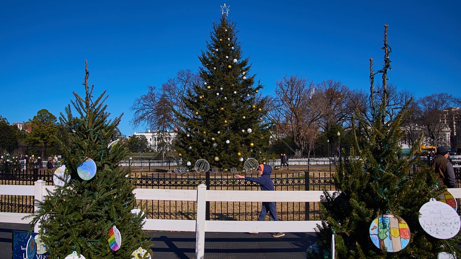 Teddy Hebdon, 9 ans, de Springfield (Virginie), désigne l’arbre de la Virginie en visitant le sapin national de Noël à l’Ellipse, près de la Maison Blanche, lundi 22 décembre.