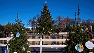 Teddy Hebdon, neun, aus Springfield, Virginia, zeigt auf den Baum für Virginia. Er besucht den Nationalen Weihnachtsbaum auf der Ellipse beim Weißen Haus, 22. Dezember.
