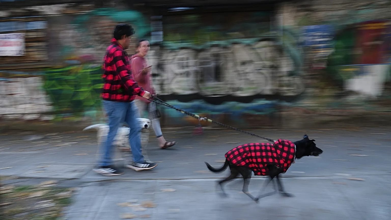 A couple walks their dogs after leaving their home due to an earthquake that was felt in Mexico City, 2 January, 2026