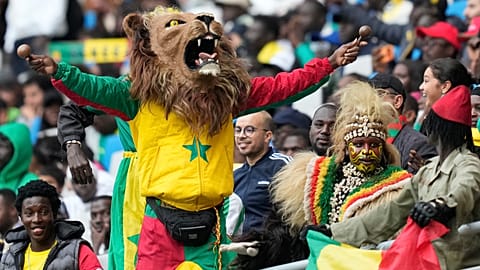 "Львы Теранги" сразятся с "Орлами" за выход в полуфинал Кубка Африки