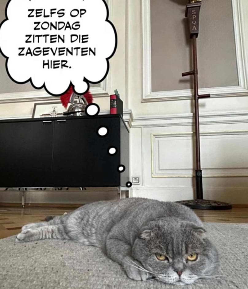 “Pazar günü bile bu baş belaları [bakanlar] buradalar.”