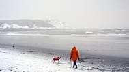 Eine Person geht am Montag mit einem Hund an der Nordseeküste in Scarborough, England, spazieren. 
