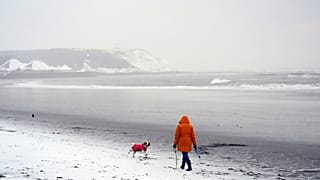 Eine Person geht am Montag mit einem Hund an der Nordseeküste in Scarborough, England, spazieren. 