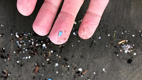 This Jan. 19, 2020 photo shows microplastic debris that has washed up at Depoe Bay, Ore.