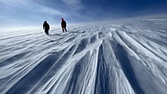 Mitglieder des GreenDrill-Teams am Prudhoe Dome. Eine zentrale Eiskappe des grönländischen Eisschilds.