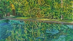 Yeşil Yansıma / Green Reflection