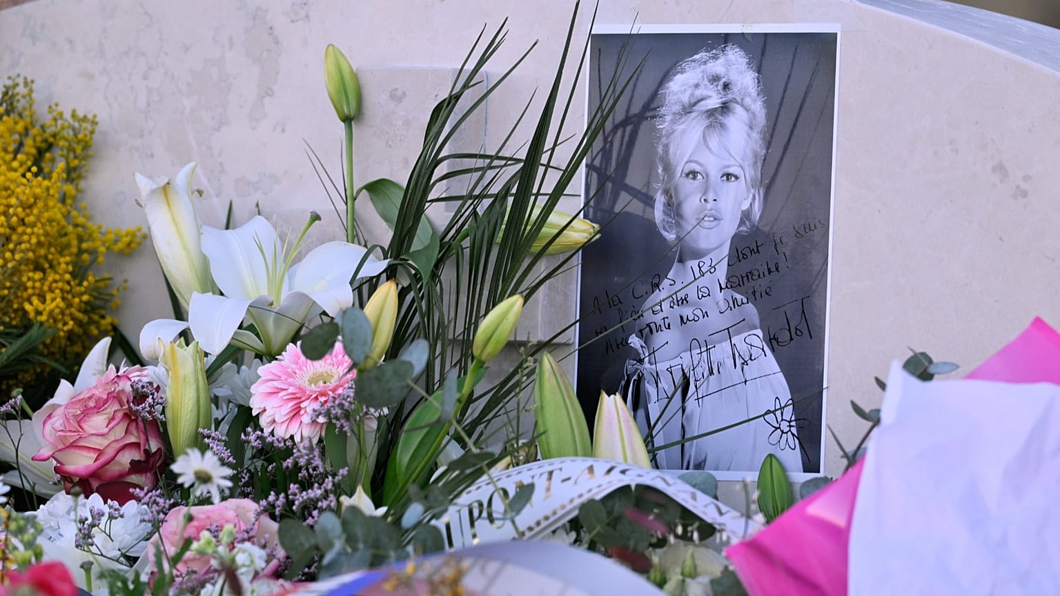 A picture of Brigitte Bardot placed on her tomb at the Saint-Tropez cemetery, 7 January, 2026 