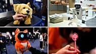 CES 2026: Some of the most weird and the wonderful tech innovations and gadgets unveiled so far